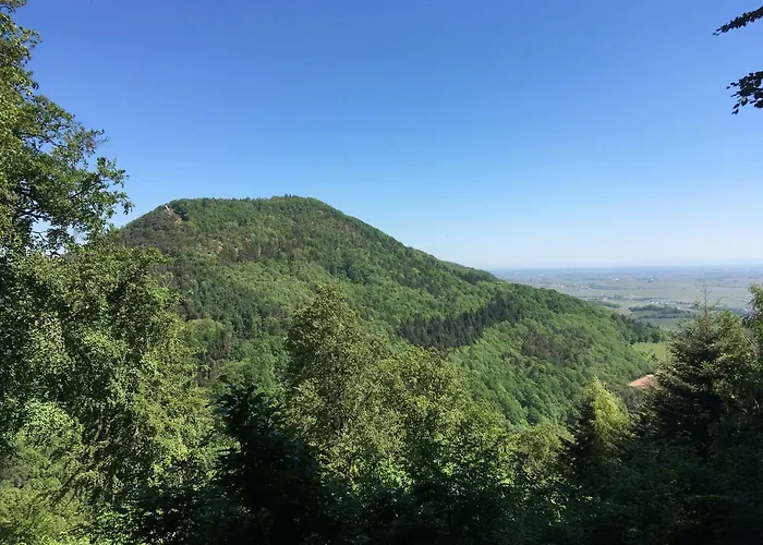 公寓 Palatini Lindenberg (Rhineland-Palatinate)